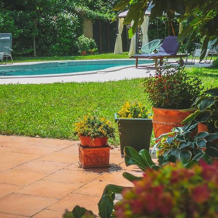 Apartment Nona Ancka Marezige Εξωτερικό φωτογραφία
