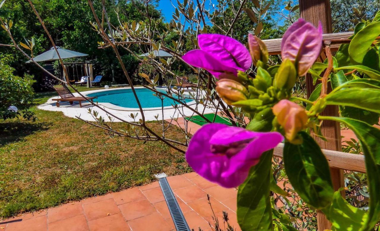 Apartment Nona Ancka Marezige Εξωτερικό φωτογραφία