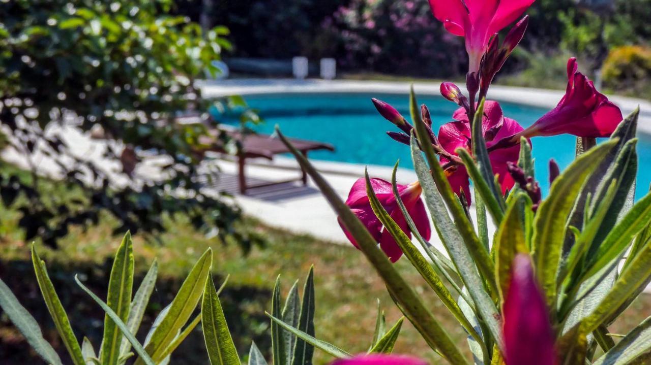 Apartment Nona Ancka Marezige Εξωτερικό φωτογραφία