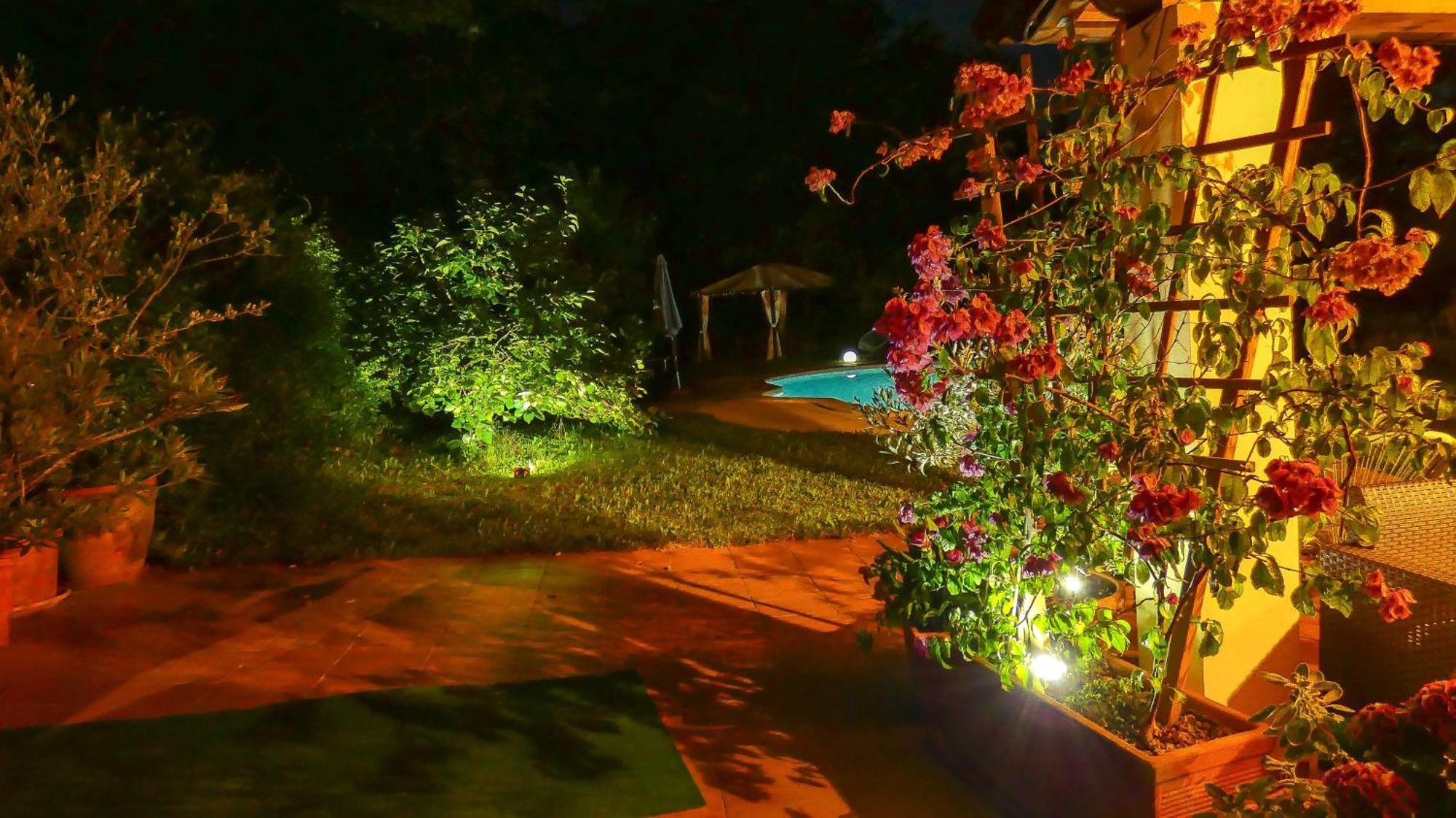 Apartment Nona Ancka Marezige Εξωτερικό φωτογραφία