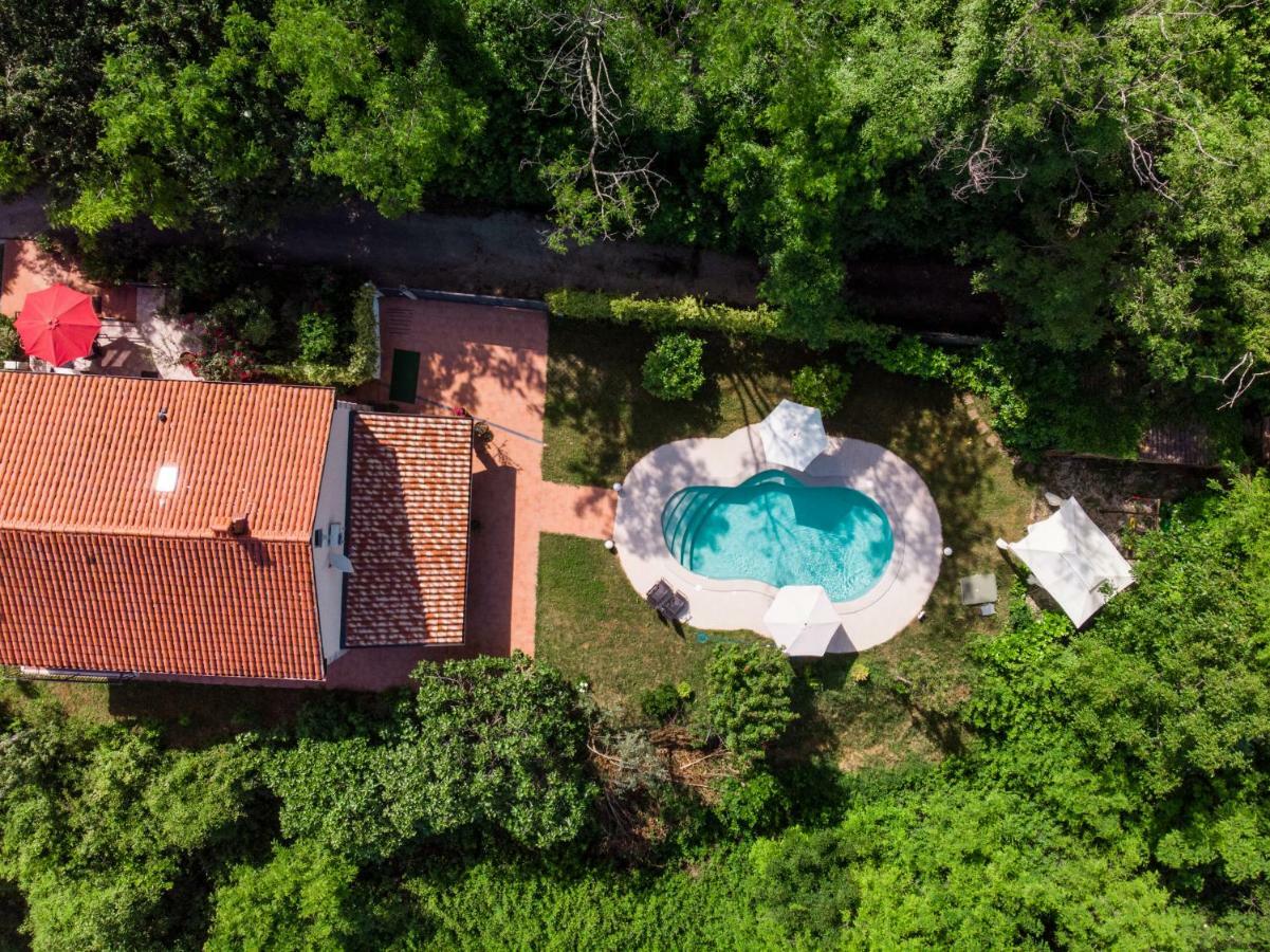 Apartment Nona Ancka Marezige Εξωτερικό φωτογραφία